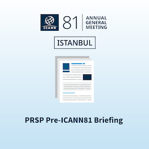 PRSP Pre-ICANN81 Briefing