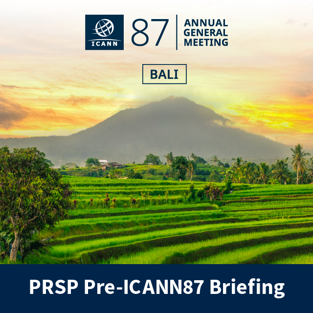 ICANN87 PRSP Briefing